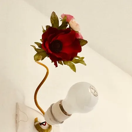 Ca Di Celè *